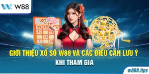 Giới Thiệu Xổ Số W88 Và Các Điều Cần Lưu Ý Khi Tham Gia