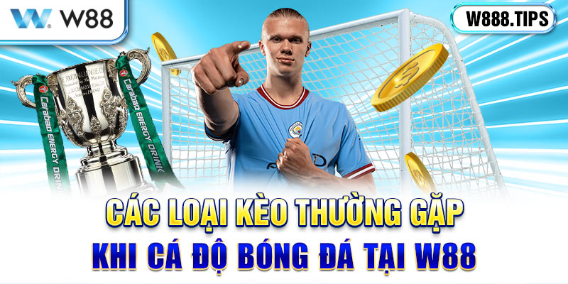 Các loại kèo thường gặp khi cá độ bóng đá tại W88