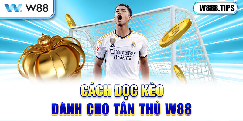 Đọc kèo đồng banh không khó cùng nhà cái W88